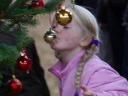 IMG_1313_web